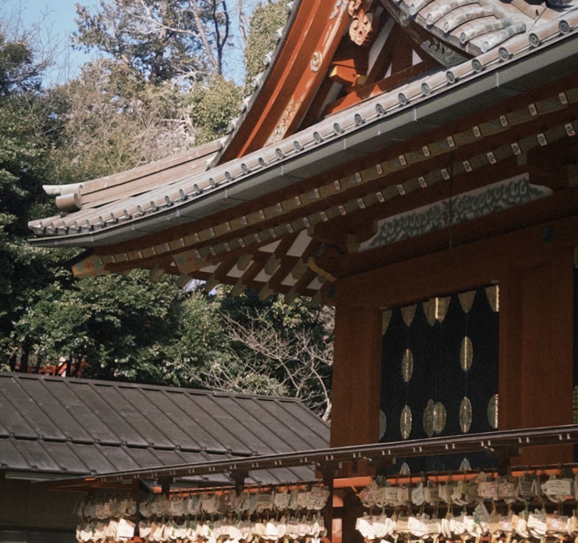 40代になって東京大神宮へ行った理由。あの日、私がお願いしたこと【体験談】